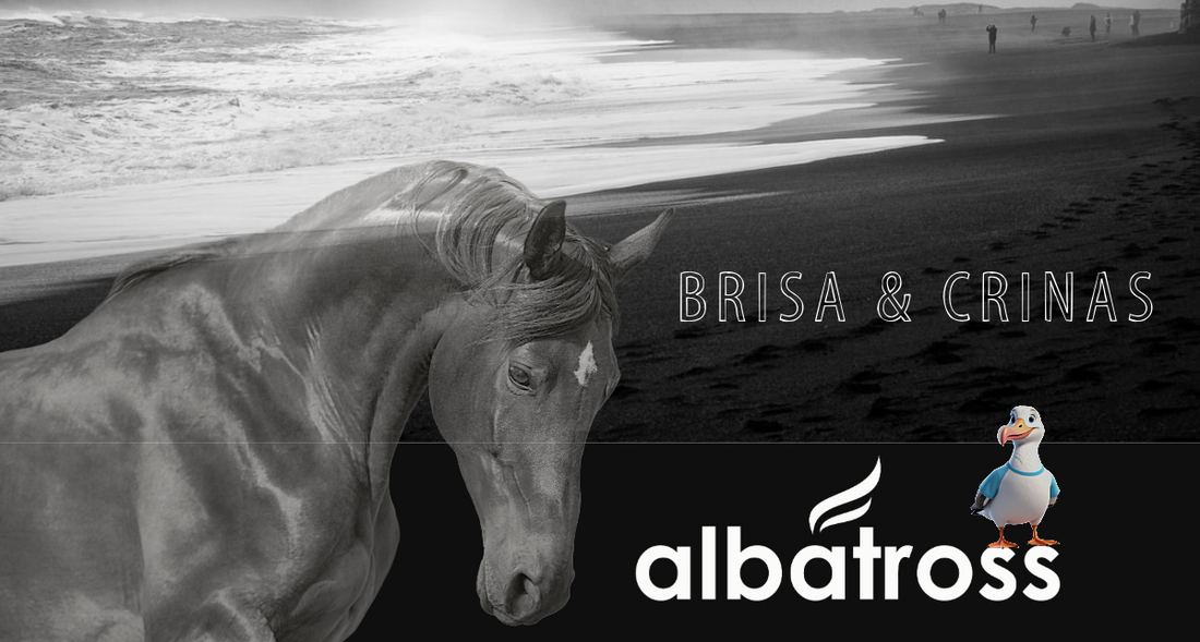 "Brisa & Crinas"