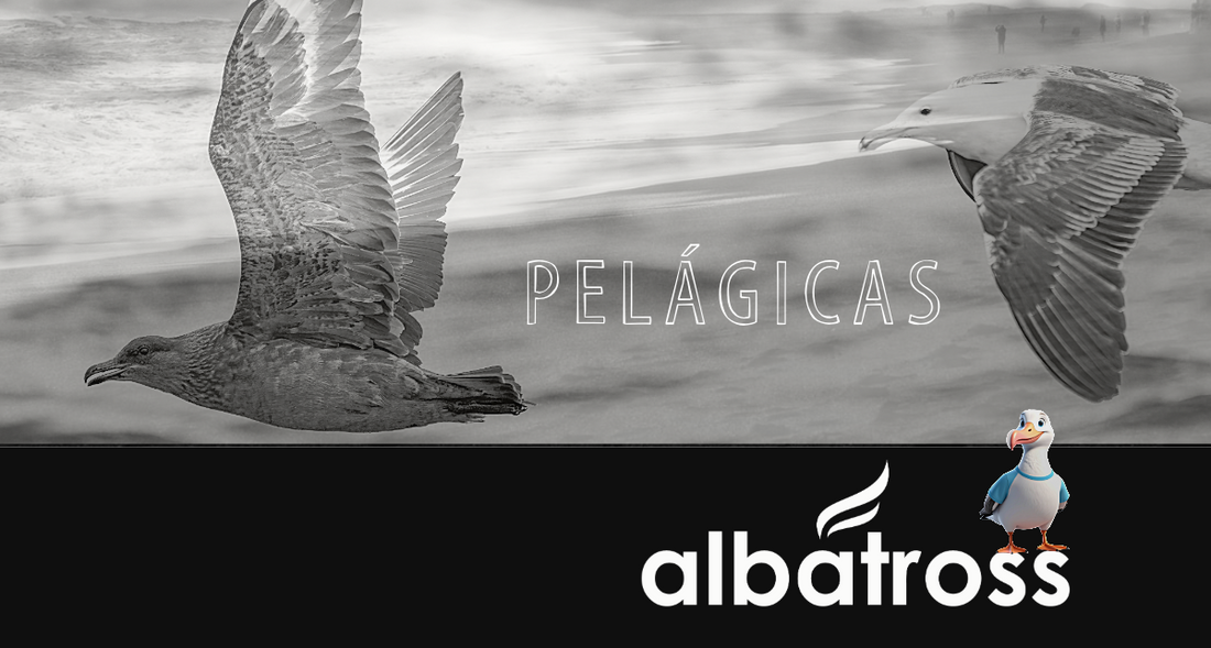 Pelágicas