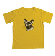 Felino Navegante