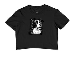 Border collie PRÍNCIPE DAS PRAIAS