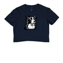 Border collie PRÍNCIPE DAS PRAIAS