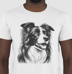 Border collie PRÍNCIPE DAS PRAIAS