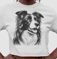 Border collie PRÍNCIPE DAS PRAIAS