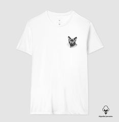 Felino Navegante