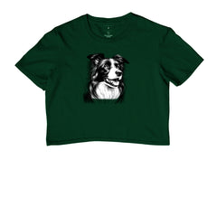 Border collie PRÍNCIPE DAS PRAIAS