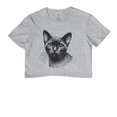 Felino Navegante