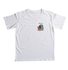 Urso surfista