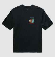 Urso surfista