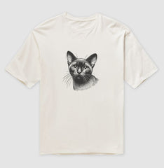 Felino Navegante