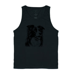 Border collie PRÍNCIPE DAS PRAIAS
