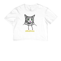 gato play