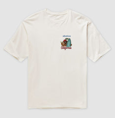 Urso surfista