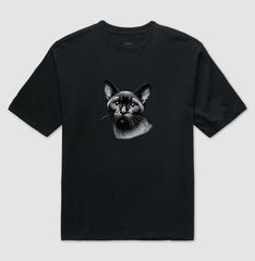 Felino Navegante