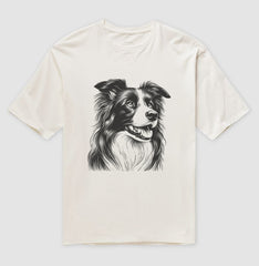 Border collie PRÍNCIPE DAS PRAIAS
