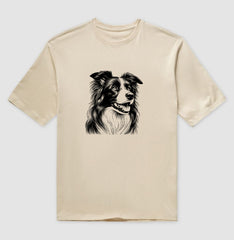Border collie PRÍNCIPE DAS PRAIAS