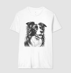 Border collie PRÍNCIPE DAS PRAIAS