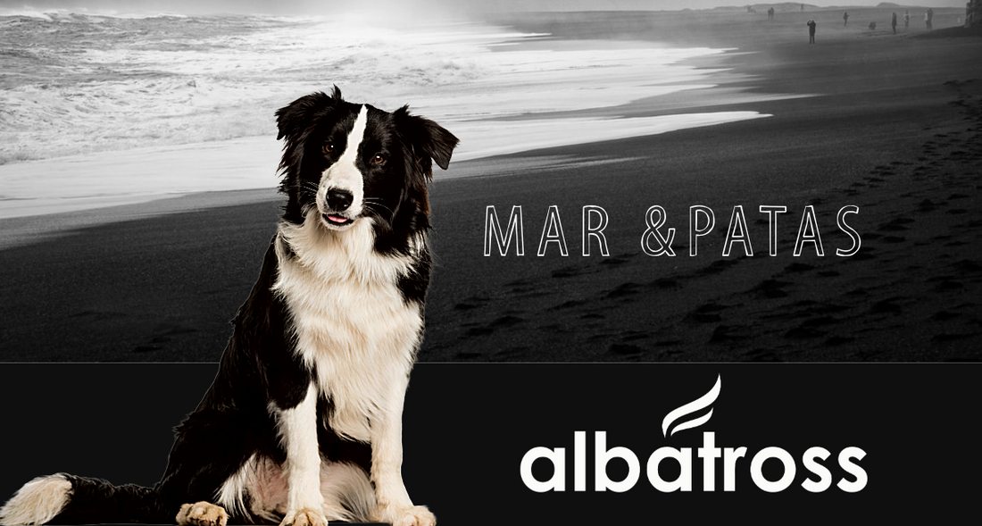 Mar & Patas