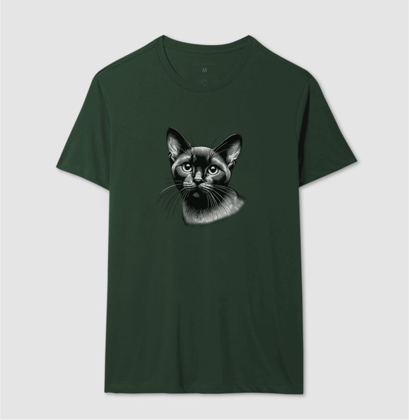 Felino Navegante