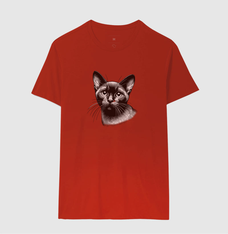 Felino Navegante