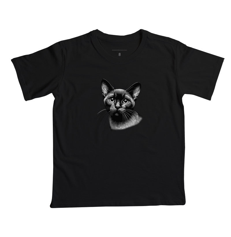 Felino Navegante