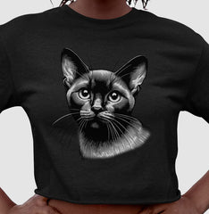 Felino Navegante