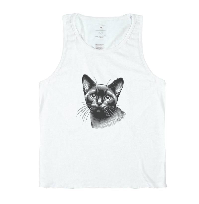 Felino Navegante