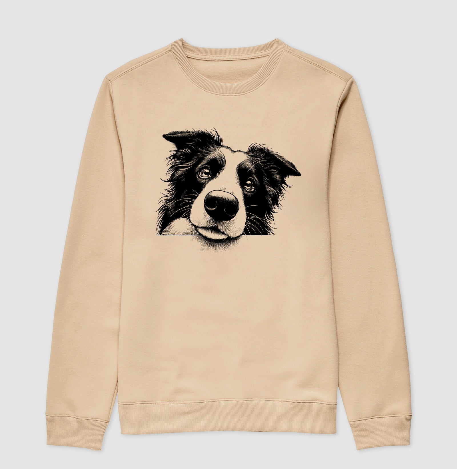 Border collie