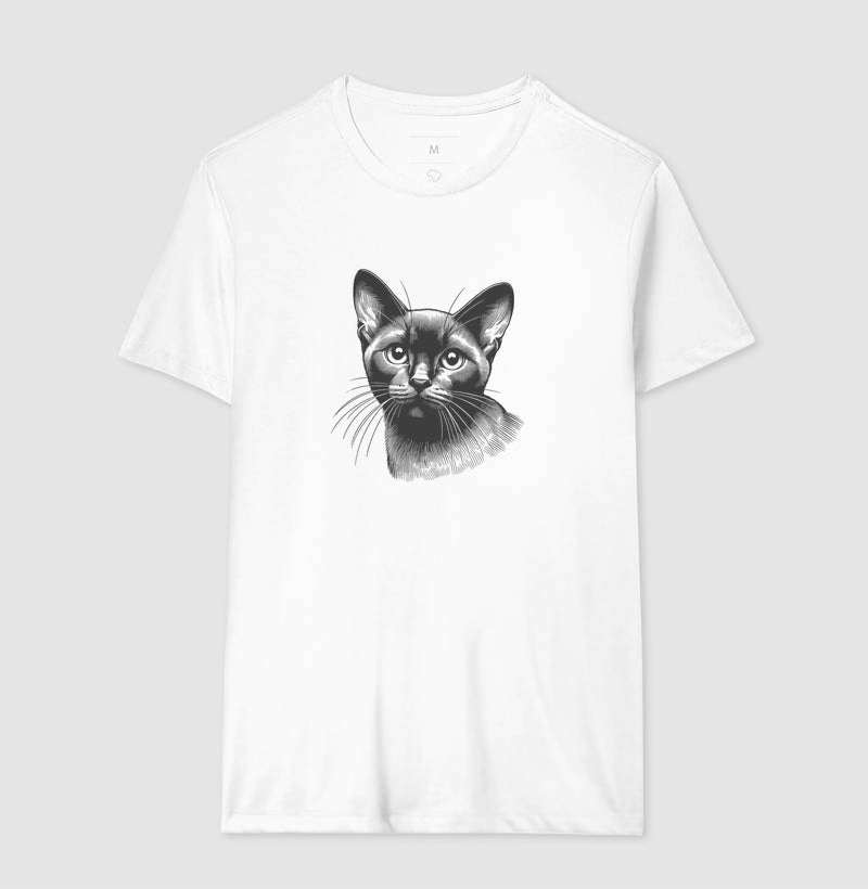 Felino Navegante