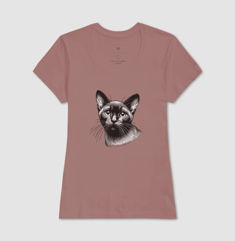 Felino Navegante