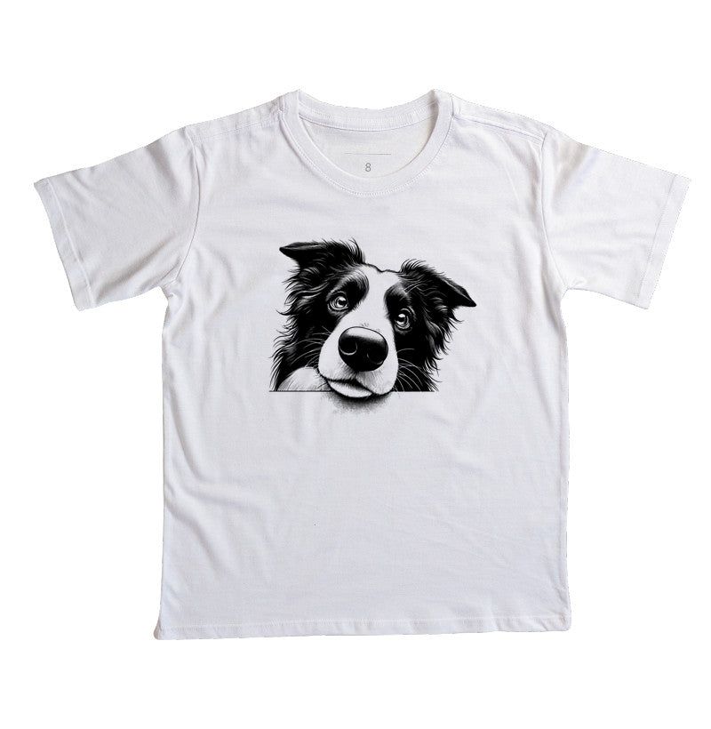 Border collie