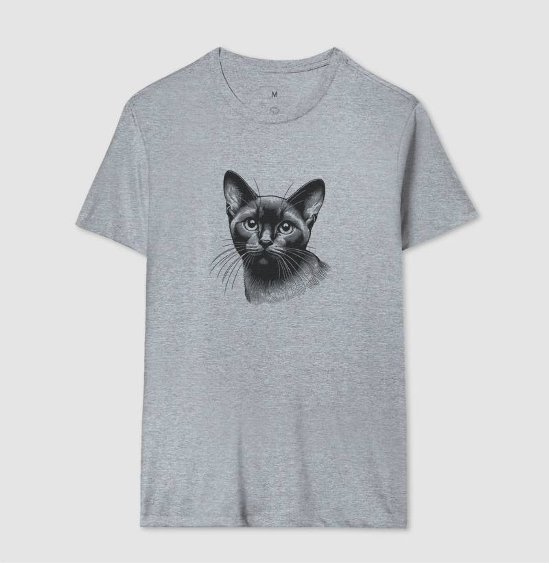 Felino Navegante