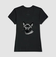 Felino Navegante