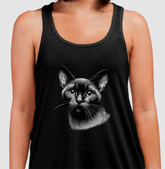 Felino Navegante