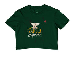 Santo espírito