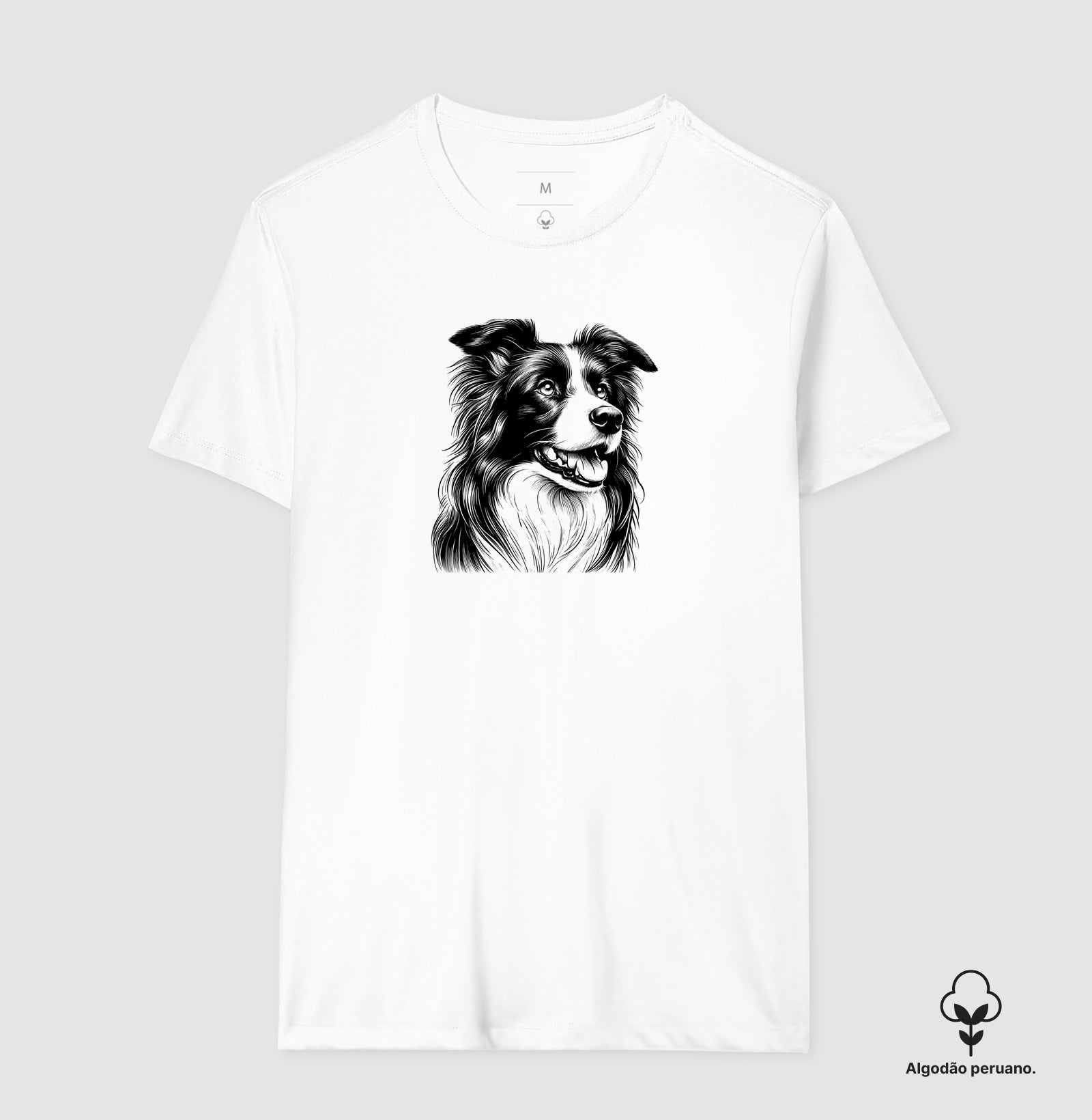 Border collie PRÍNCIPE DAS PRAIAS