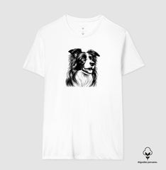 Border collie PRÍNCIPE DAS PRAIAS