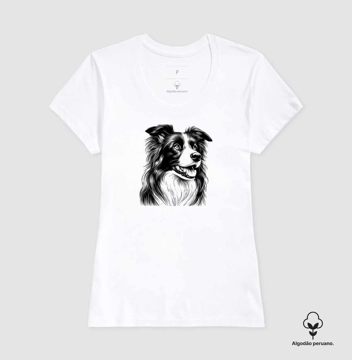 Border collie PRÍNCIPE DAS PRAIAS
