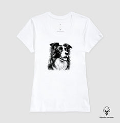 Border collie PRÍNCIPE DAS PRAIAS