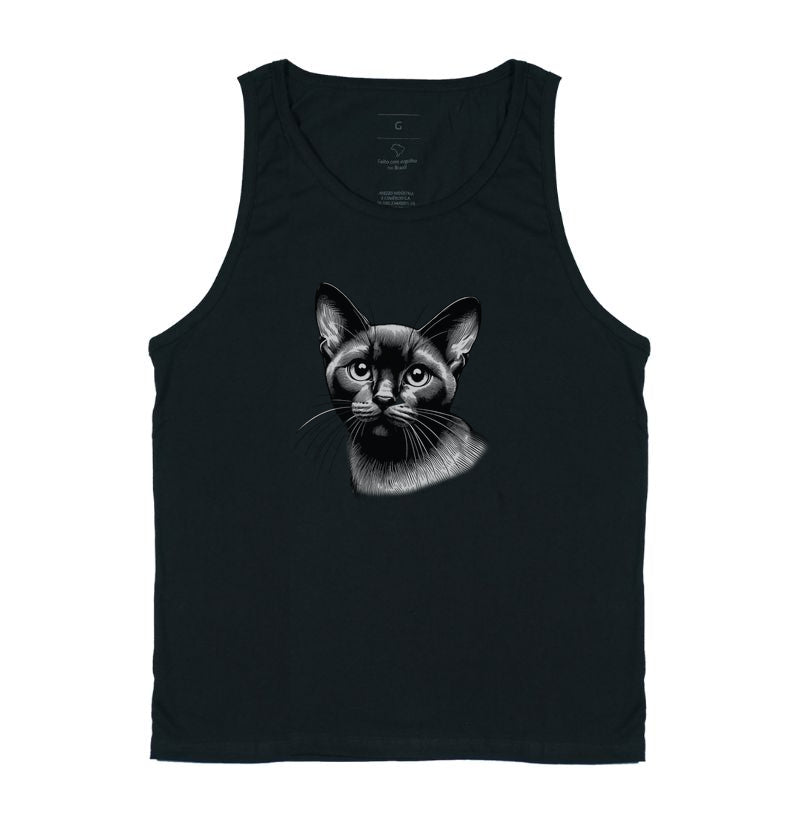 Felino Navegante
