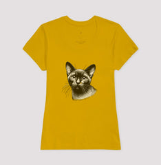 Felino Navegante