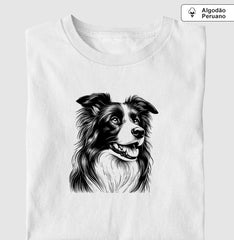 Border collie PRÍNCIPE DAS PRAIAS