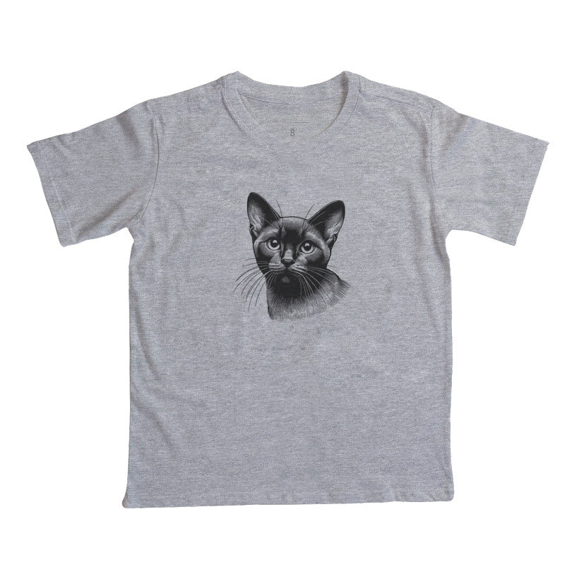 Felino Navegante