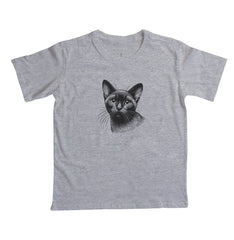 Felino Navegante