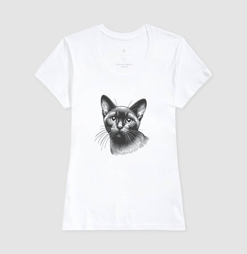 Felino Navegante