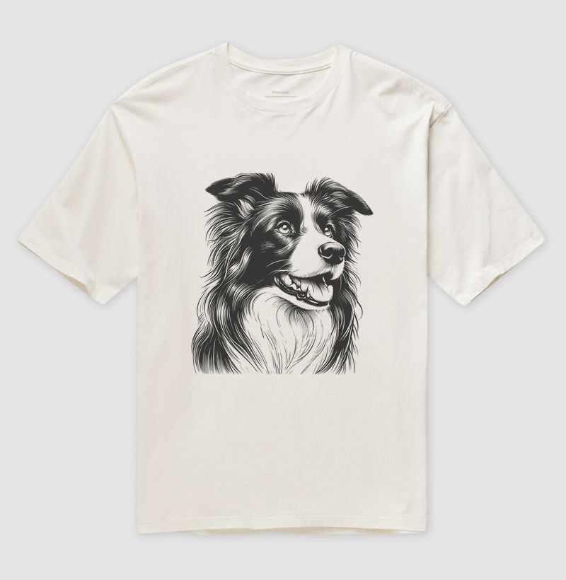 Border collie PRÍNCIPE DAS PRAIAS