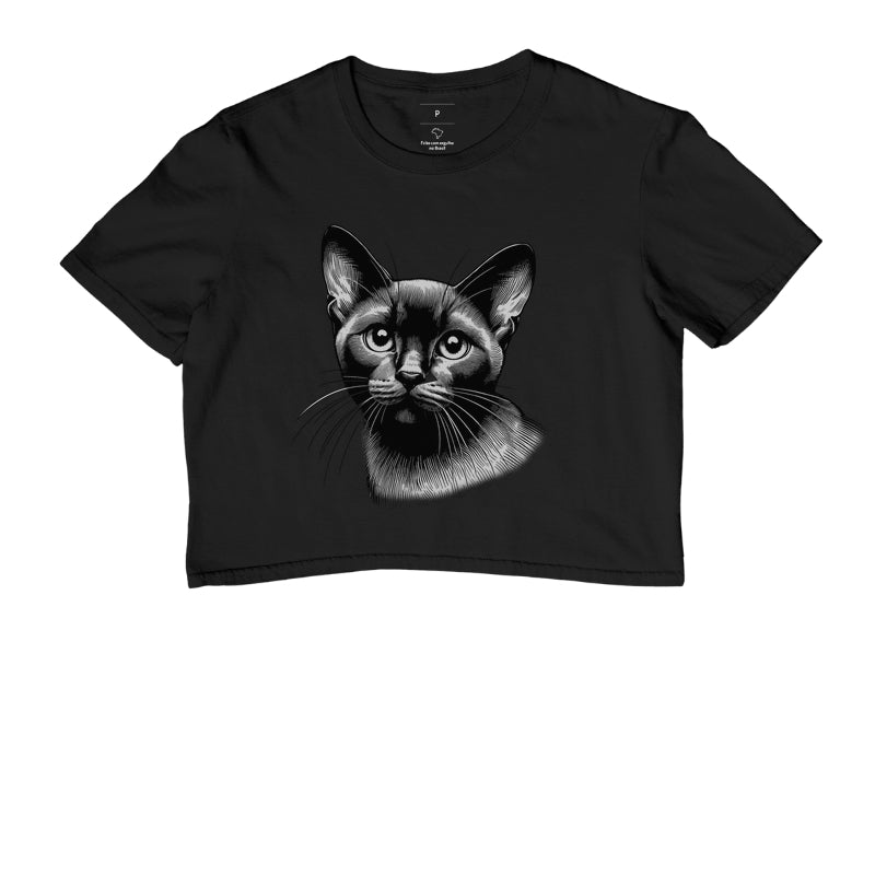 Felino Navegante