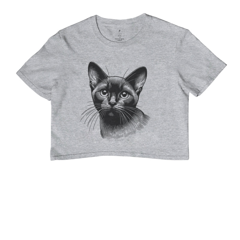 Felino Navegante