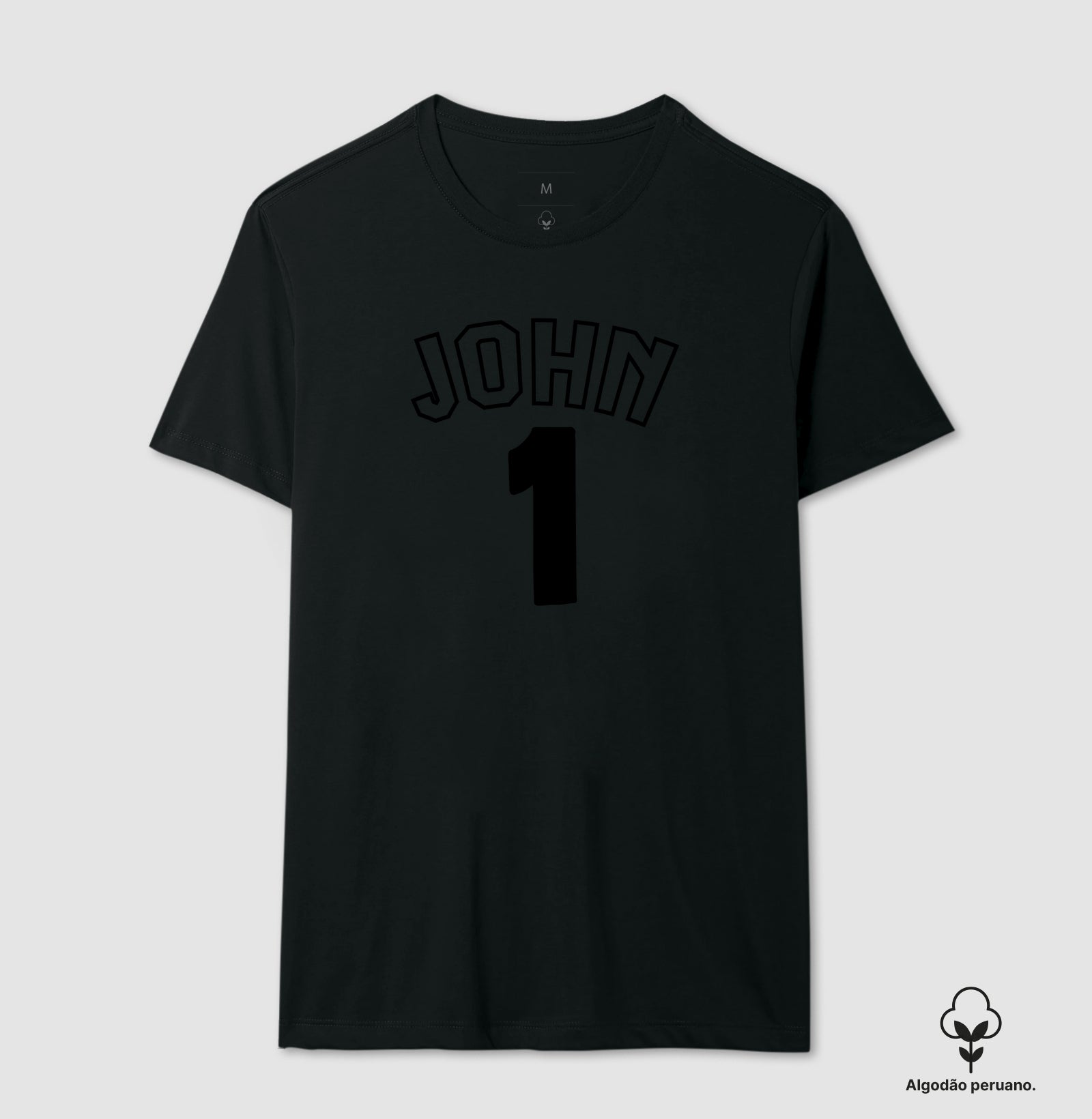 JOHN 1 – A LUZ QUE VESTE A PALAVRA