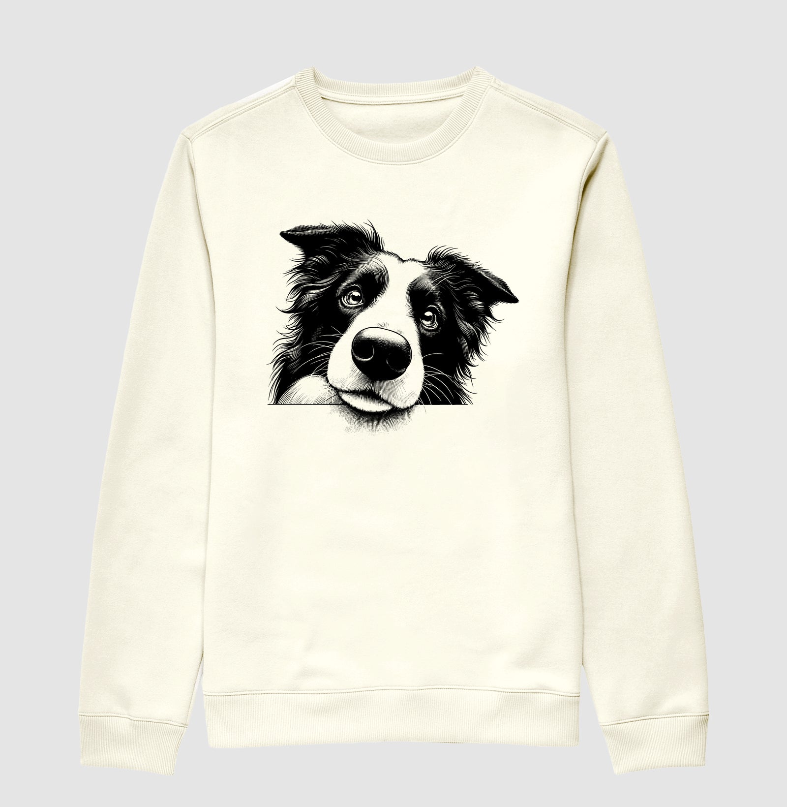 Border collie