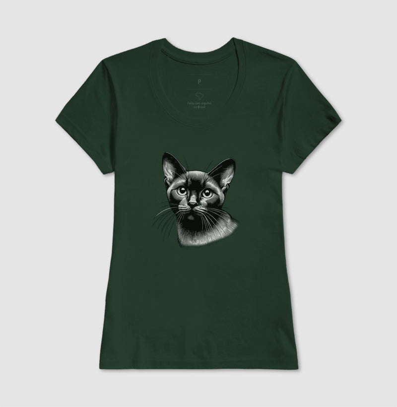 Felino Navegante